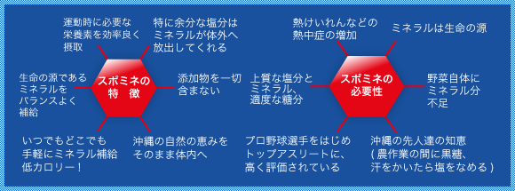 特徴と必要性-イメージ